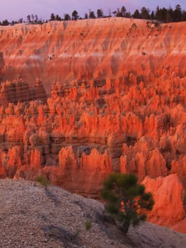Bryce Canyon National Park at sunrise, view from Sunset point, Utah, USA