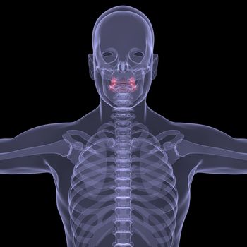 X-Ray picture of a person. Sore digestion. Isolated render on a black background