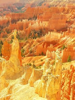 Amphitheater, view from Sunset point, Bryce Canyon National Park, Utah, USA