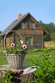 Basket with flowers