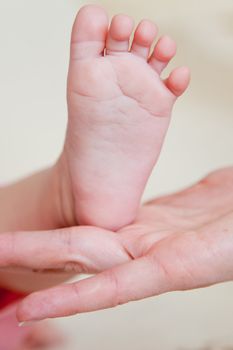 Mothers hand and the Baby`s Feet