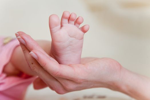 Mothers hand and the Baby`s Feet