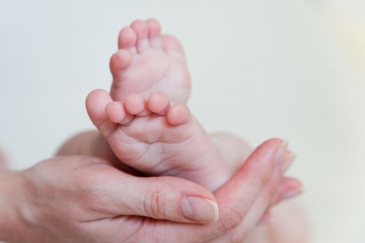 Mothers hand and the Baby`s Feet