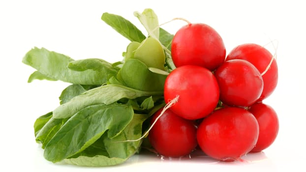 bundle of radishes isolated on white background