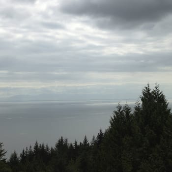 Tree tops and ocean view