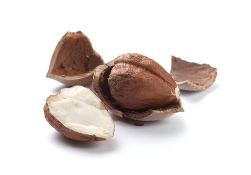 Hazelnut core and nutshell on the white background