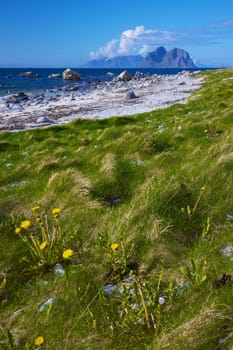 Scenic beach on Lofoten islands in arctic Norway on sunny summer day