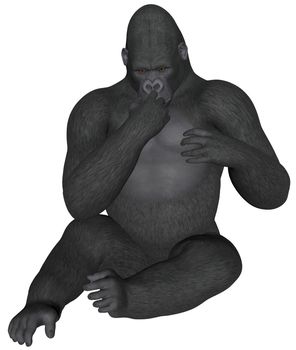 3D rendered african gorilla on white background isolated