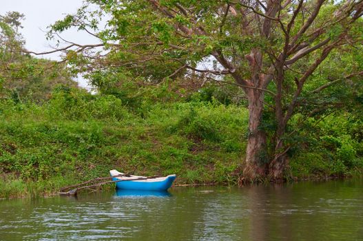 Traditional boats in tropical forest, Sri Lanka