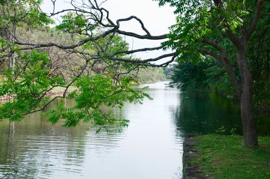 Ancient man-made canal, Sigiriya castle ruins, Sri Lanka