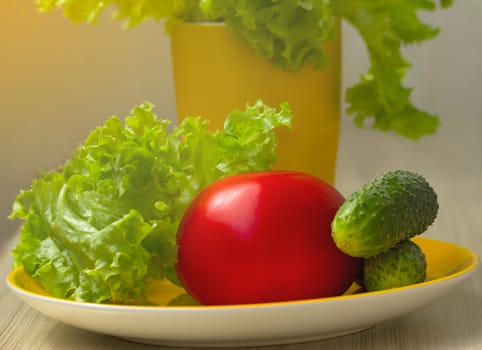 Tomato, cucumber vegetable and lettuce salad