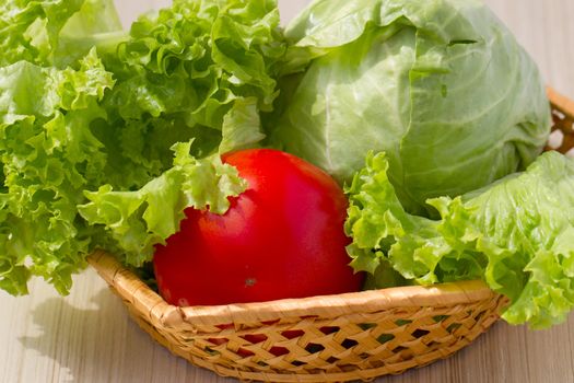 vitamin set of vegetables greens cabbage; lettuce green salad leaves green cucumber with a yellow flower and red tomato of fresh