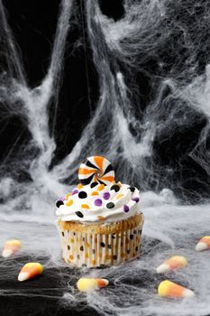 Halloween Cupcake on a spider web 