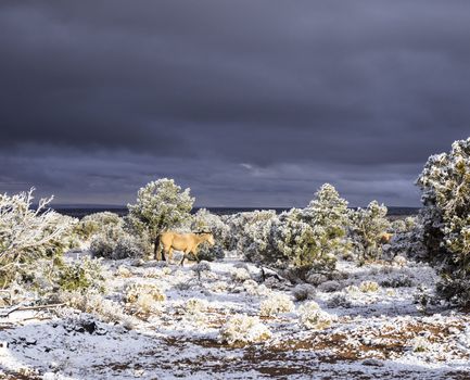 View of dark clouds and landscape snow