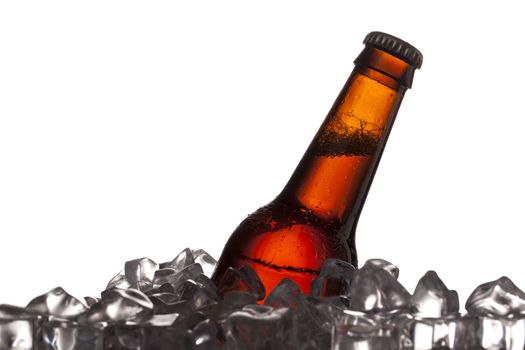 Detailed shot of chilled beer bottle in ice cubes.
