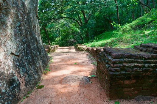 Ancient walls and steps in forest, Sigiriya ruins, Sri Lanka