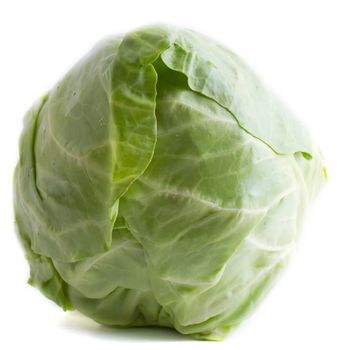 whole green cabbage isolated on white