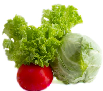 Fresh spinach , cucumbers and tomatoes isolated