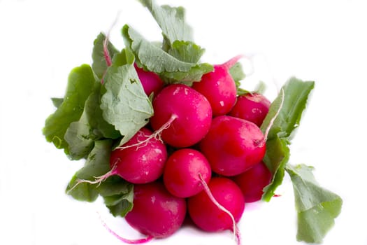 Bunch of radish isolated on white background