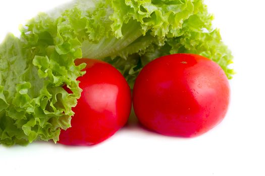 Tomatoes and lettuce  on the  white background