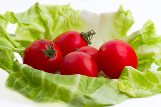 Tomatoes are in the cabbage leaf. Isolated over white background