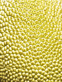 Macro of  a jackfruit in Cambodia