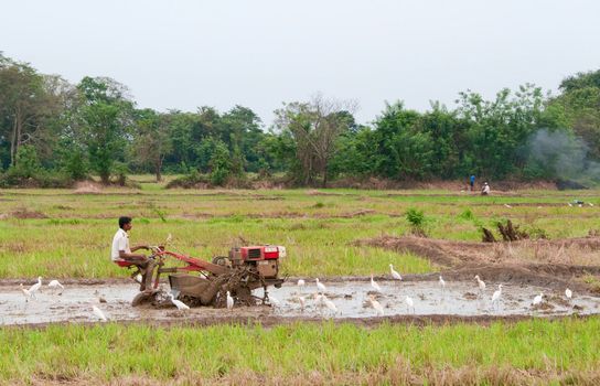 Sri Lanka, Sigiriya area - Apr 28, 2011: A man working with a motor plow in a rice field