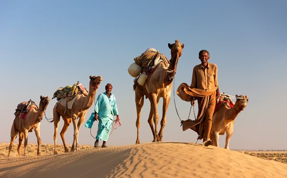 Sam, INDIA - NOVEMBER 28: An unidentified camel man is leading his  camels across the Thar desert near Jaisalmer on November 28, 2012 in Sam, Rajasthan, India.