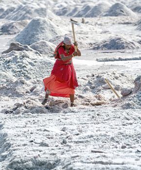 SAMBHAR LAKE TOWN-NOVEMBER 19: An unidentified Indian woman working on the salt farm, November 19, 2012, in Sambhar lake town, Sambhar salt lake, Rajasthan, India