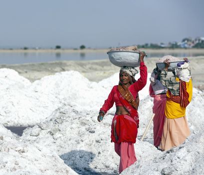 SAMBHAR LAKE TOWN-NOVEMBER 19: An unidentified Indian women working on the salt farm, November 19, 2012, in Sambhar lake town, Sambhar salt lake, Rajasthan, India