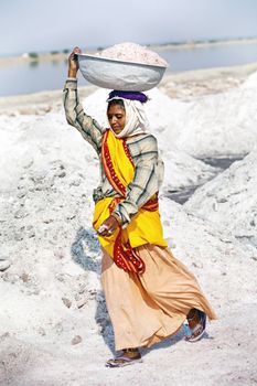 SAMBHAR LAKE TOWN-NOVEMBER 19: An unidentified Indian woman working on the salt farm, November 19, 2012, in Sambhar lake town, Sambhar salt lake, Rajasthan, India