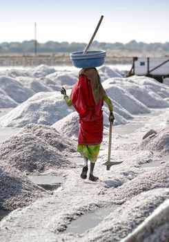 SAMBHAR LAKE TOWN-NOVEMBER 19: An unidentified Indian woman working on the salt farm, November 19, 2012, in Sambhar lake town, Sambhar salt lake, Rajasthan, India