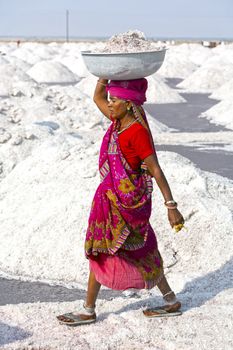 SAMBHAR LAKE TOWN-NOVEMBER 19: An unidentified Indian woman working on the salt farm, November 19, 2012, in Sambhar lake town, Sambhar salt lake, Rajasthan, India