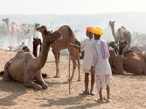 PUSHKAR, INDIA - NOVEMBER 21: An unidentified men attends the Pushkar fair on November 21, 2012 in Pushkar, Rajasthan, India. Farmers and traders from all over Rajasthan flock for the annual fair