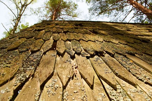 Old rustic wooden roof covered with moss