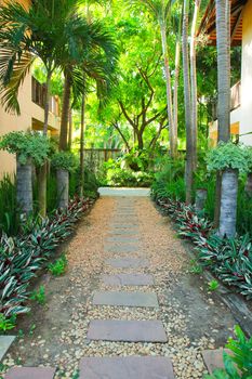 Stone pathway into tropical garden