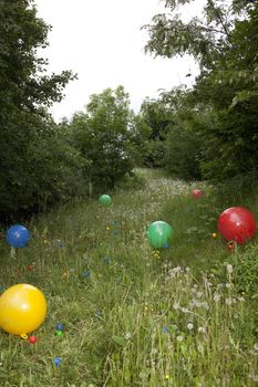 Coloured balloons on grass