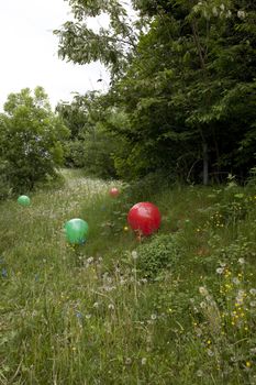 Coloured balloons on grass