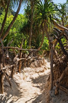 trail with a fence in the jungles of the island of Ko Phi Phi Lei in Thailand