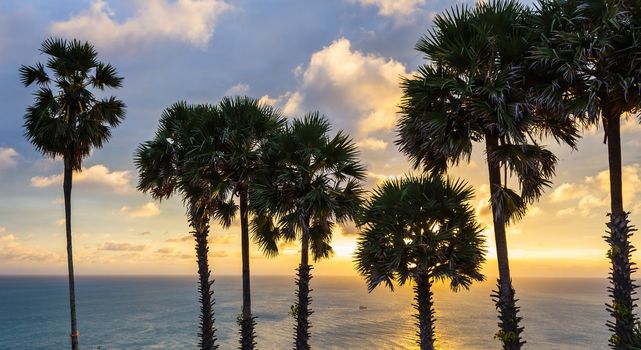 Set among palm trees on the island of Phuket