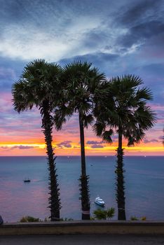 Set among palm trees on the island of Phuket