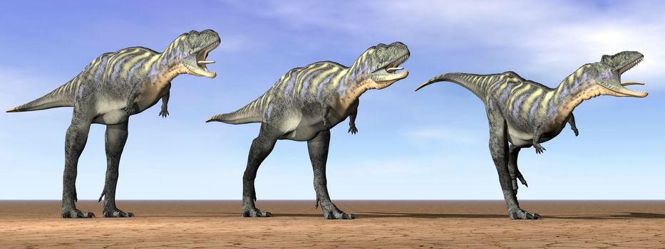 Three acasaurus dinosaurs standing in the desert by daylight