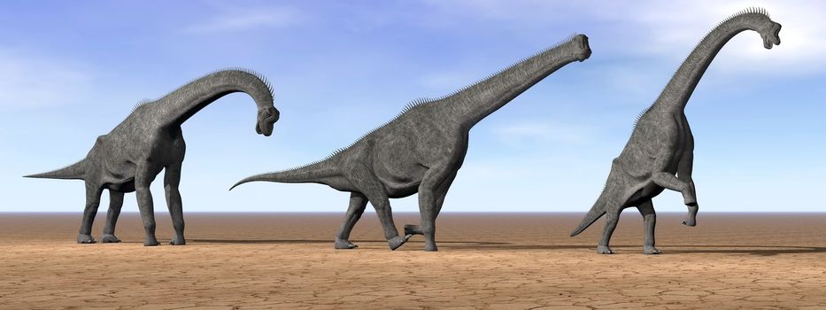 Three brachiosaurus dinosaurs standing in the desert by daylight