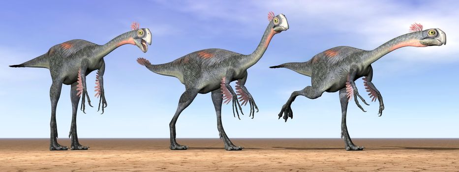 Three gigantoraptor dinosaurs standing in the desert by daylight