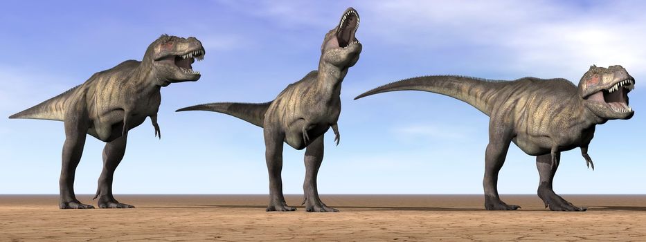 Three tyrannosaurus dinosaurs standing in the desert by daylight