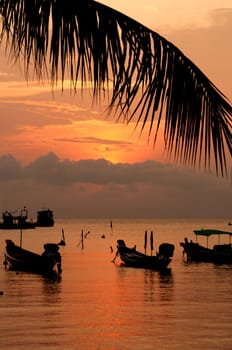 Sunset with palm and longtail boats on tropical beach. Ko Tao island, Thailand