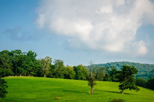 Mountain valley on sunny day. Great Smoky Mountains, North carolina