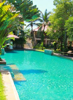 swimming pool surrounded by palm trees