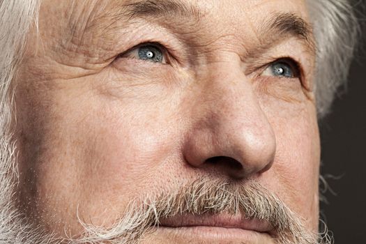 Closeup portrait of elderly man with a beard