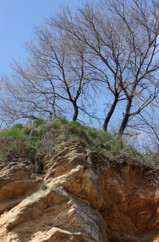 trees growing on precipice over blue sky